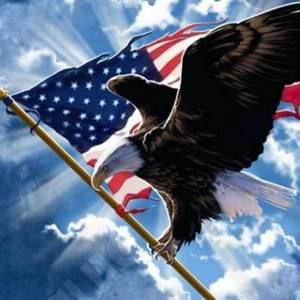 Meet your Posher, Dan